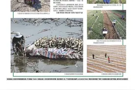 镜头看大荔：一手抓防控一手忙春耕，迎来春色换人间图片