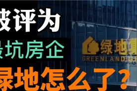 桃色事件、质量问题、虚假宣传！绿地荣膺315最坑房企图片