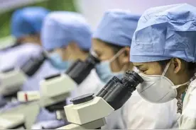 中国和西方国家谁的试剂盒更好？荷兰官方说实话了图片