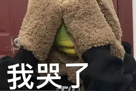 我哭了，我装的图片