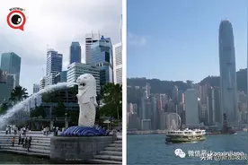 新加坡、香港航空泡泡计划5月26日启动图片