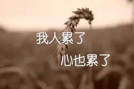 生活没有对错，没有好坏，只是选择，不言苦，早晨安好图片