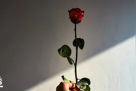 聪明的夫妻，是怎么谈钱的？图片