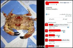 这种外表美丽的螃蟹千万不能食用图片