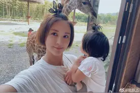 张歆艺带儿子到长颈鹿庄园玩，四坨和长颈鹿一起吃早餐图片