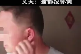妻子懒惰成性在房间大小便，丈夫无奈的说：猪都没你懒图片