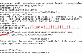 安全漏洞之经典上传漏洞图片