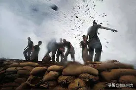 生死瞬间：越战中陷入泥潭的美军图片