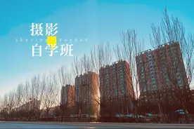 拍摄过程和思路，大公开！用手机就能把枯草枯木拍美图片