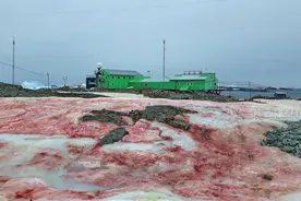南极出现大面积“血雪”，让人担心的事情正在悄悄临近图片