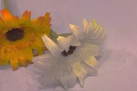 双向暗恋的细节表现|不是你的自导自演！图片