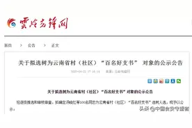 这100人拟入选云南省村(社区)“百名好支书”，有你们社区的吗？图片