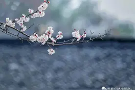云游新县 | 那年杏花微雨，我在石岗村等你图片