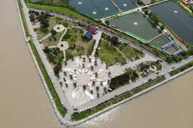 田园风光——海鸥岛图片