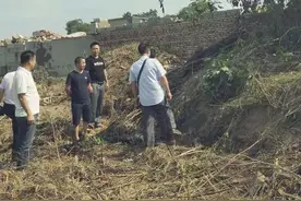 三兄弟迁祖坟却挖出大量珍宝，是该主动上交吗？专家：应该上交图片