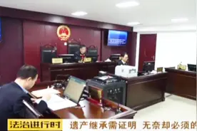 遗产继承需证明 迫于无奈孙子将俩老人告上法庭视频封面