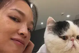 谁说舒淇脱掉的衣服一定要穿回来？卫道士真是太恶臭了图片