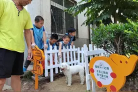 宠物猫狗有了固定厕所图片