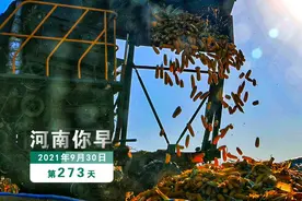 河南你早丨郑州今天将发放800万元文旅电子消费券图片