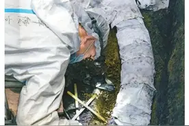 关于三星堆四号坑测年结果的深度解读图片