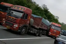 京昆高速一司机被人头蜂袭击，导致昏迷休克，什么蜂这么毒？图片