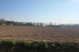 曹县郜堌堆遗址图片
