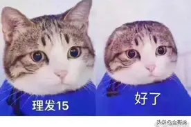 办公室一男对一女同事一直色心不死图片