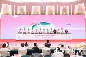 广东荔枝百日销季圆满收官！龙眼柚子香蕉柑橘加油干图片