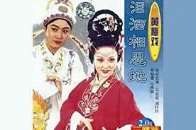 黄梅戏泪洒相思地01图片