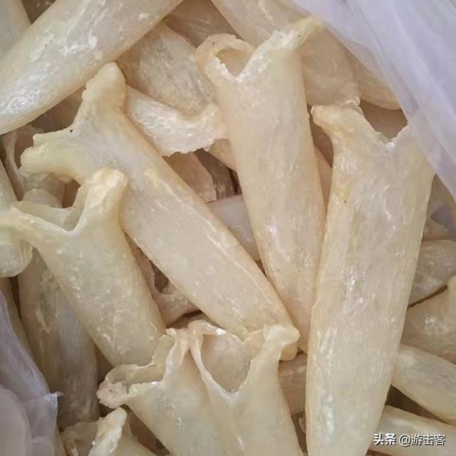 黄花鱼筒胶价格 2026年黄花筒鱼胶属于什么档次