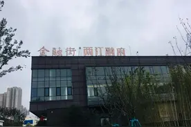 第四代住宅成为噱头 金融街两江融府或成为海绵城市“半成品”图片