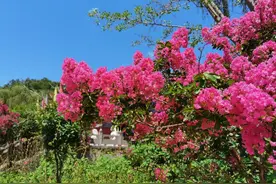 来几张鲁山县文殊寺的美图，缓解一下朋友们疫情期间不外出的焦虑图片
