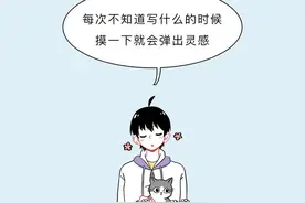 猫被割掉的蛋蛋，都到哪里去了？图片
