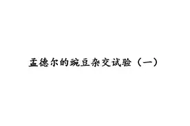 1.1孟德尔的豌豆杂交试验（一）图片