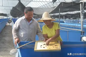 央视的这套节目，到底是致富经还是“致负经”？为啥农民一试就赔图片