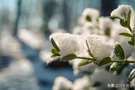 脸上的这3道横褶，说明你的心脏有危机图片