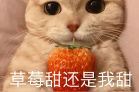 表情包：草莓甜还是我甜？图片