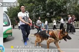 汶川地震搜救犬塑像落成 训导员当场落泪图片