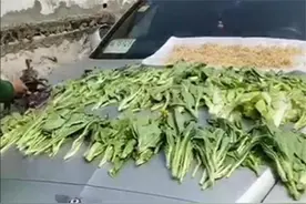 400万的宾利被人用来晒青菜，车主却敢怒不敢言：她比车子更贵图片