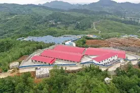 “跑山猪”跑出财富 吃出健康——贵州二表哥生态农业有限公司发展小记图片
