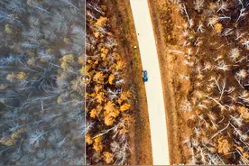 最强摄影后期软件升级了！飞思 Capture One 21 Pro 14.4 最新版图片