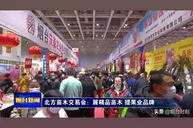 北方苗木交易会：展精品苗木 提果业品牌图片