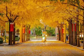 北京林业大学实力究竟如何？这7个数据或许能给你真实答案！图片