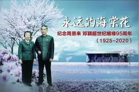 今天，共赏永远的海棠花图片