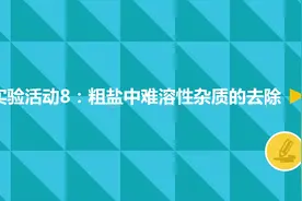 粗盐中难溶性杂质的去除（初中化学）图片