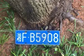 @岳阳老司机 快来领你的车牌图片