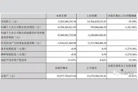 "保时泰"真的不行了？巨亏近93亿 员工集体讨薪图片