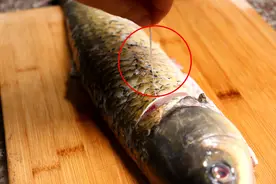 摘除“鱼腥线”大错特错！这4处才是鱼腥味源头，看一看怎么处理视频封面