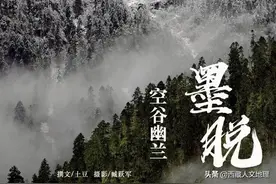 林芝桃花季快到了，看桃花之余，不妨走进空谷幽兰的墨脱秘境图片