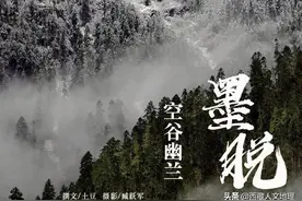 林芝桃花季快到了，看桃花之余，不妨走进空谷幽兰的墨脱秘境图片